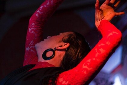 Dinner with flamenco in Valencia