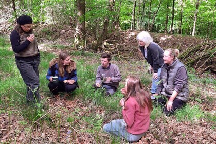 Forest Nature Therapy Experiences