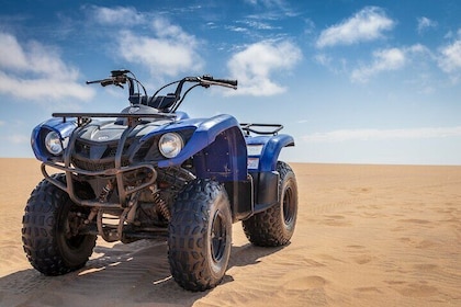 quad bike Desert Adventure in Baja California Sur with Tequila Tasting