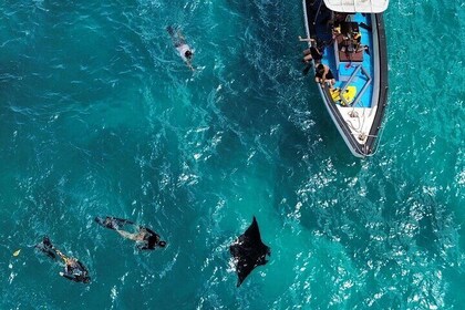 Nusa Penida Snorkeling with Manta Rays and Island Tour