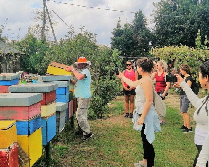 Picture 12 for Activity Venice: Bike Tour and Honey Tasting on Sant’Erasmo Island