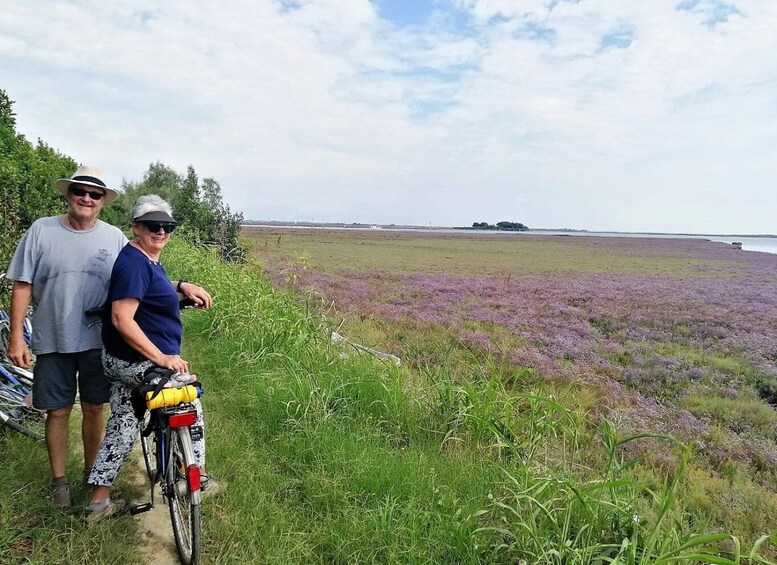 Picture 2 for Activity Venice: Bike Tour and Honey Tasting on Sant’Erasmo Island