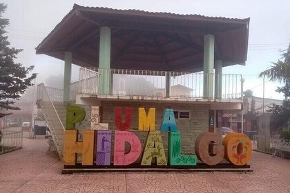 Pluma Hidalgo Coffee Experience