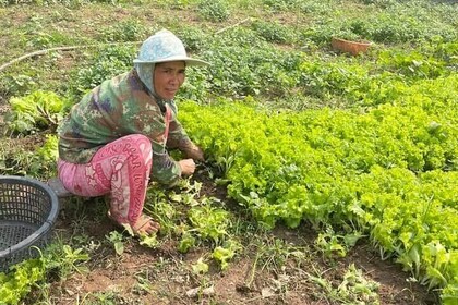 Evening food tour in vibrant siem reap