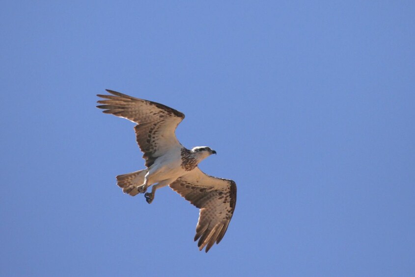 Yardie Creek Boat Tours