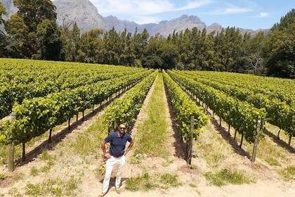 Private Cape Town Wine Tour 3 Tastings, Lunch and Expert Guide