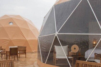 Riyadh Outdoor Fun Farm Activities and Sunset Horseback Ride