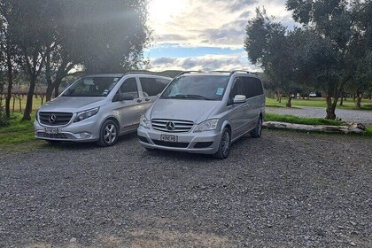 Wine Tasting Tour in Napier Region