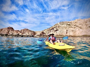 Glass-Bottom Kayak & Snorkel at the Two Bays Tour