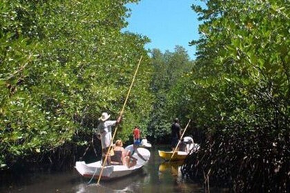 Mangrove Tour Nusa Lembongan Full Day Island Experience