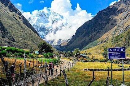 Tour a la Laguna Humantay + Almuerzo Buffet desde Cusco