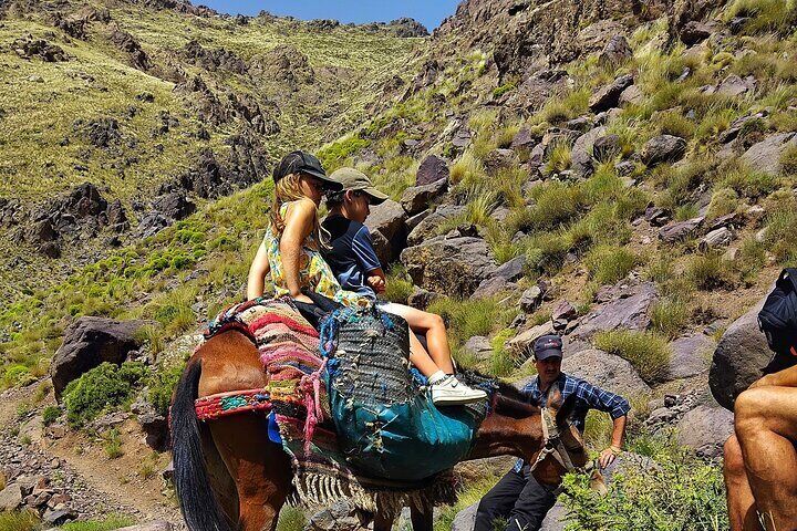 Atlas Mountains Day Trip from Marrakech with Lunch in Nature