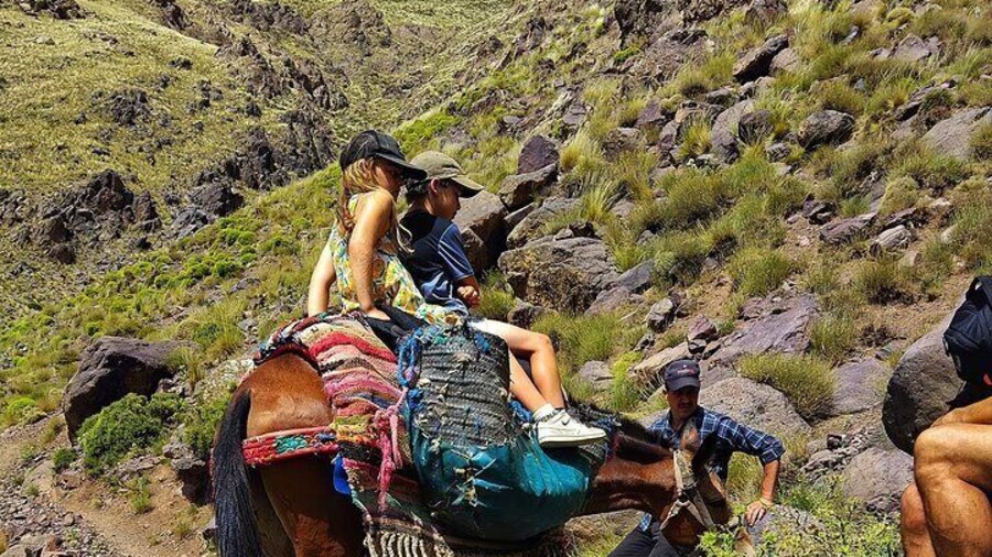 Atlas Mountains Day Trip from Marrakech with Lunch in Nature