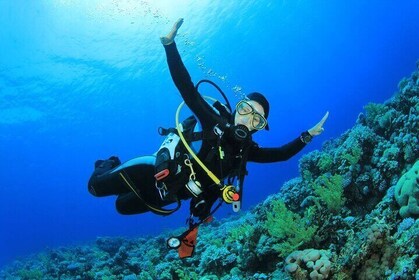 Half Day Scuba Dive in the Mediterranean from Chefchaouen