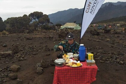 6 Day Umbwe Kilimanjaro Climb Conquer the Summit