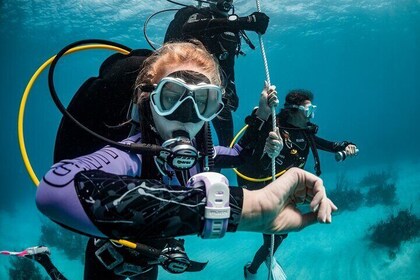 One-Day Scuba Diving Certification Course