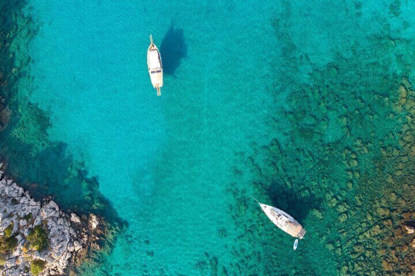 Aquarium Bay