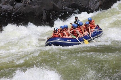 2 Day Zambezi Rafting Rhino Safari and Chobe National Park Tour
