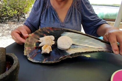 Mangrove Adventure with Snorkeling and Shellfish Tasting