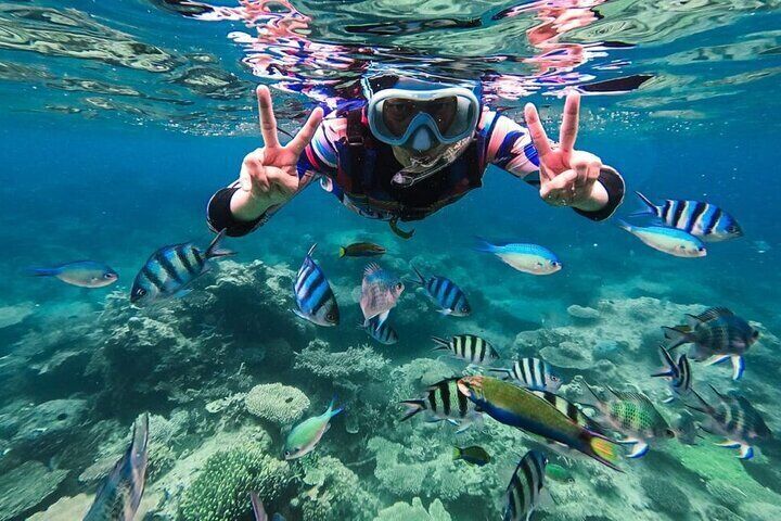 Snorkeling at Blue Lagoon Bali with Shared Transfer and Lunch