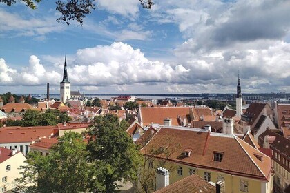Tallinn Medieval Magic Exploration Game and Tour