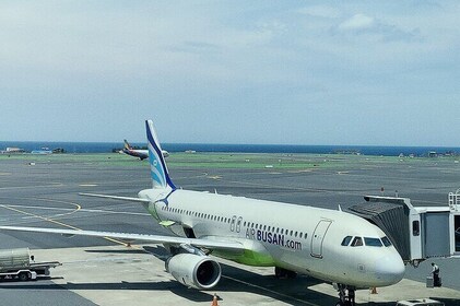 Taipei Layover City Highlights Tour with Pickup