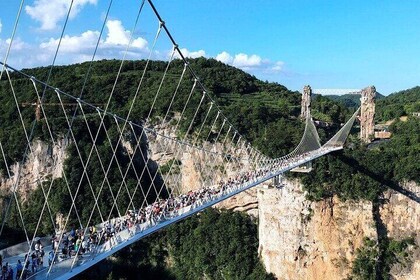 Zhangjiajie Ultimate Highlights Tour with Glass Bridge&Cable Car