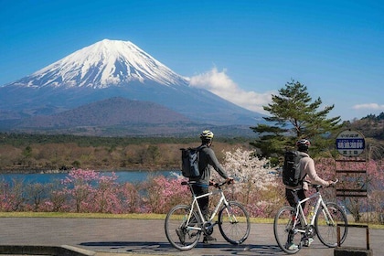 Mount Fuji Japan Cycling Tour