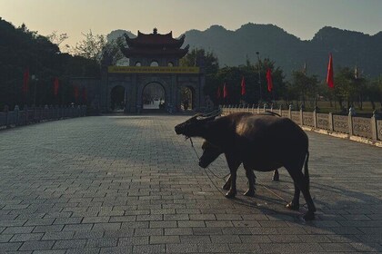 Ninh Binh Day Escape from Hanoi: Local Life, Connection & Tales