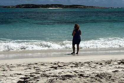 Celeb Island Adventure Tour