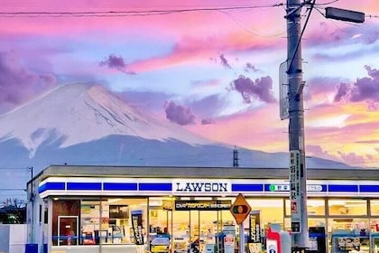 Mount Fuji Popular Sightseeing Tour