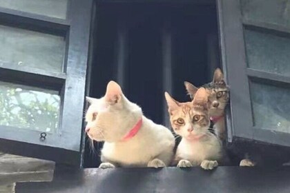 Private Guangzhou Tour with Comfortable Transportation