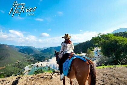 Boil the Water and Mitla Mezcal Tour