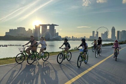 2 Hours Sunset Bike Tour and Garden Rhapsody Show