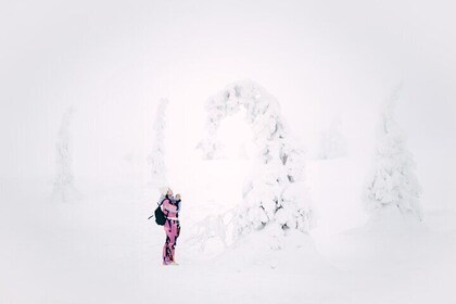 Frozen Wonderland: Riisitunturi Winter Photography Hike