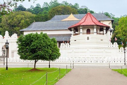 Complete Sri Lanka Experience 20 Day Private Tour