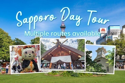 Sapporo Full-Day Tour by Minivan