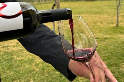 Superior Wine Tasting with Lunch on the slopes of Mt. Vesuvius