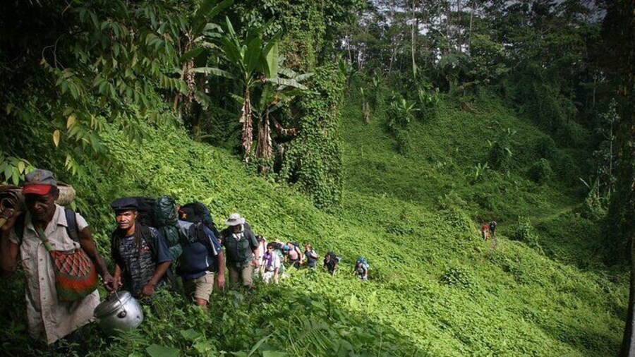 Choko field on the Kokoda Track near Deniki