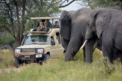 14-Days Kenya and Tanzania Camping Safari from Nairobi