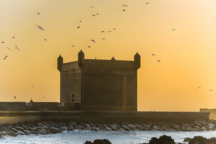 From Marrakech: Essaouira Day Trip with Optional Activities