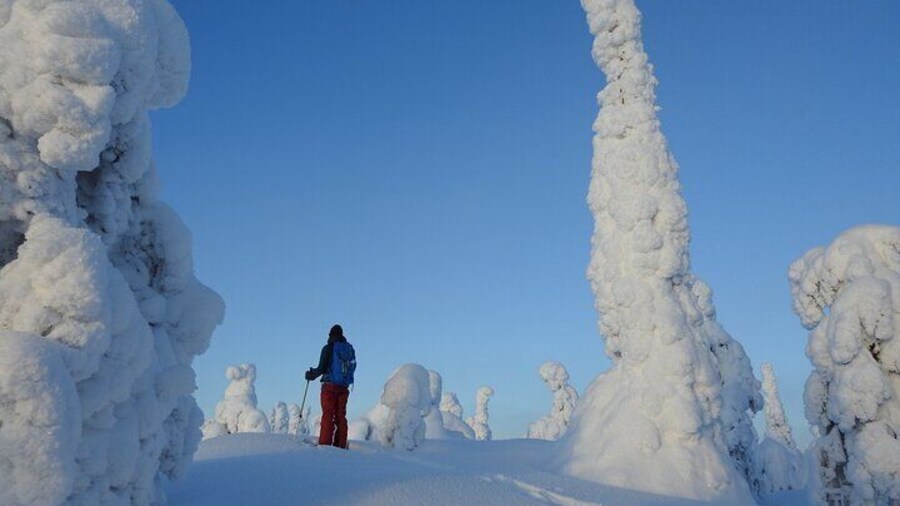 Private Snowshoe Hike in Forests and Fells of Kuusamo