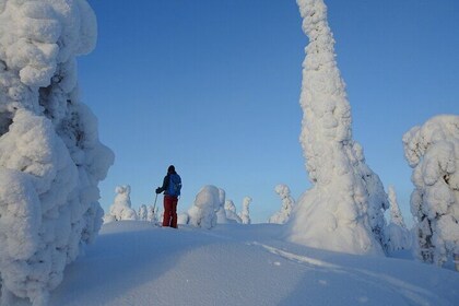 Snowshoe Adventure in the Fells of Kuusamo