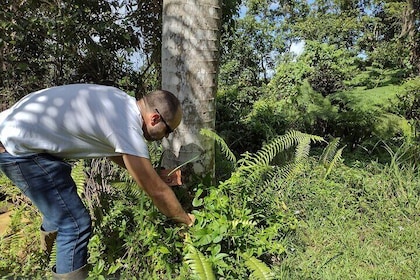 Treasure Hunt Adventure Hike and Discover Your Own Treasure