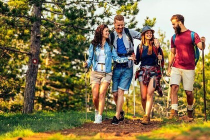 15 Day Tour Cape Town to Johannesburg Garden Route & Kruger Park