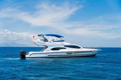 Full Day Private Harbour Cruise in Denpasar Bali