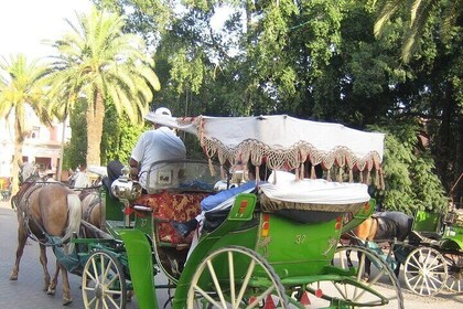 Marrakech City Tour with Majorelle Garden, Menara & Caleche Ride