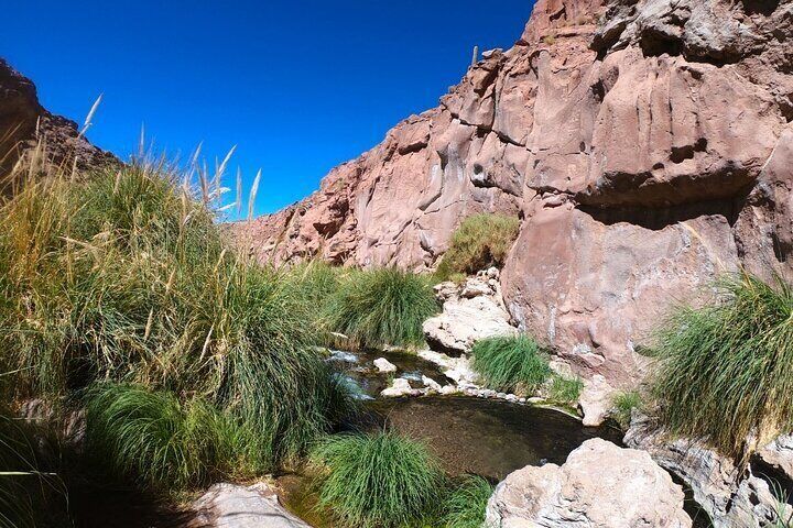 Purilibre Trekking: Disconnection and Nature