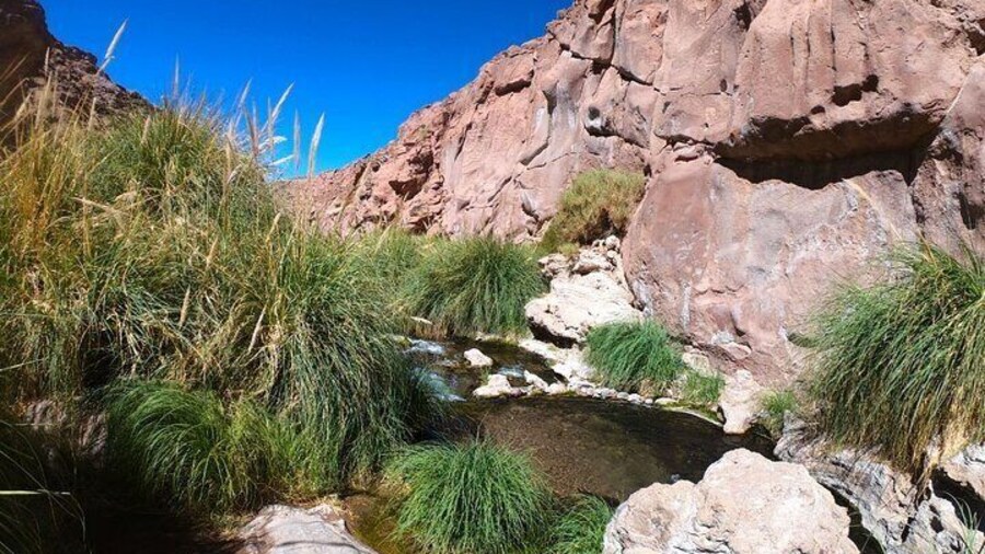 Purilibre Trekking: Disconnection and Nature