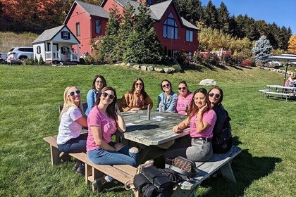 Hudson Valley Winery Tour w/ Private Transport